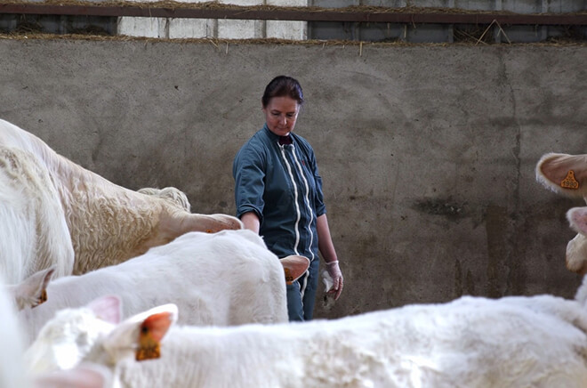 Suivi d’élevage rural 