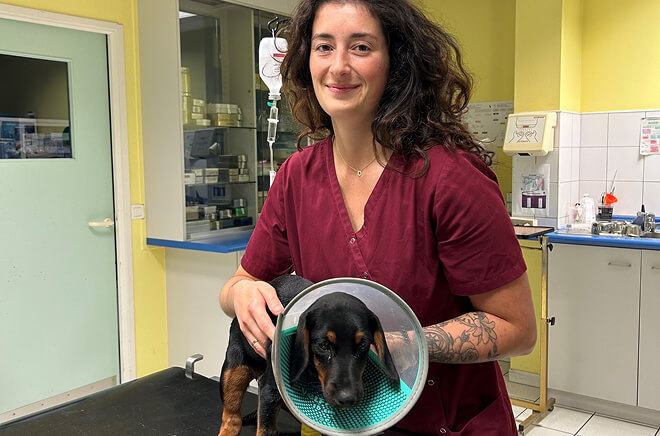 Consultation et suivi