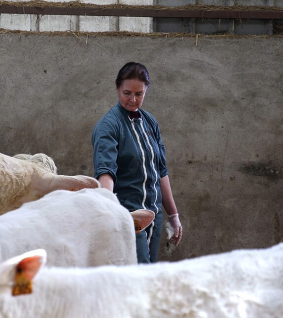 Vétérinaire rurale