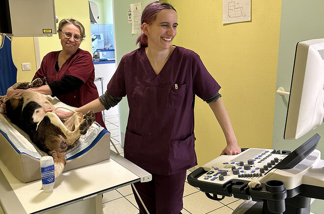 Laboratoire et imagerie médicale